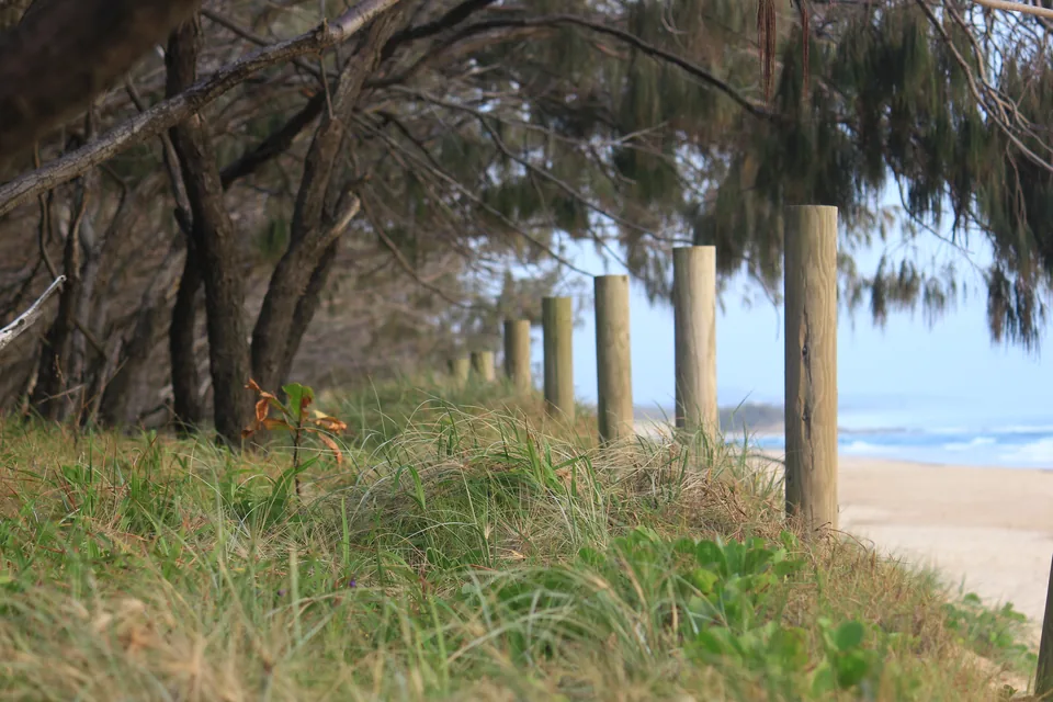 Grassy dune path beside the beach